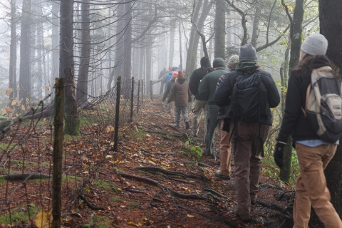 Line of people walking through a foggy forest