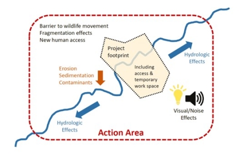Diagram showing how an action area encompasses the project footprint 