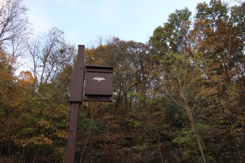 A bat house built on a wooden platform with a white bat symbol painted on it. Trees frame the background.