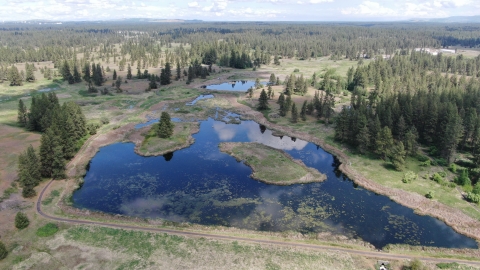 Aerial view of a pond located within the channeled scablands of Turnbull NWR