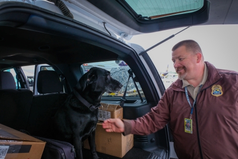 Dog sits in the trunk area of an SUV with a handler reaching out to pet the dog. Training boxes are sitting in the trunk area. Large aircraft in a parking apron in the background. 