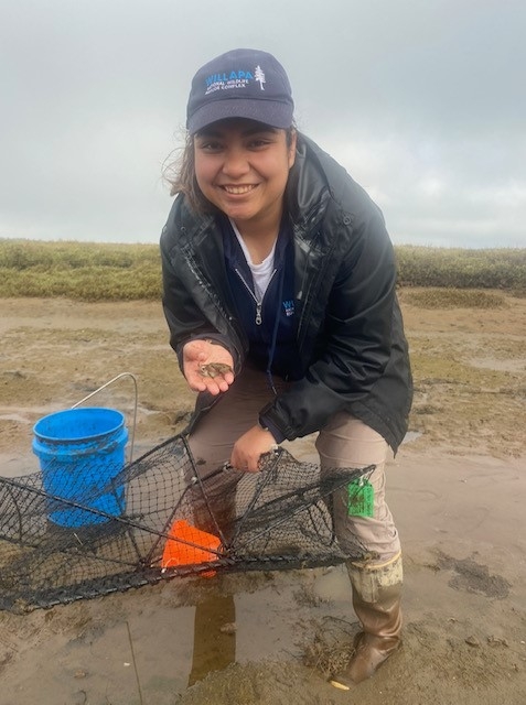 Young adult standing in mud holding a crab trap and small crab in their hand.