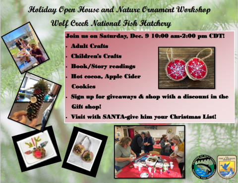 Flyer for Holiday event