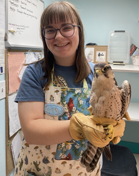 Lily Hodgson holding a lanner falcon in the Ruth Melichar Bird Center