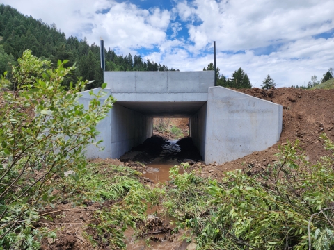 A box culvert with wingwalls and headwalls with a small stream moving through freely