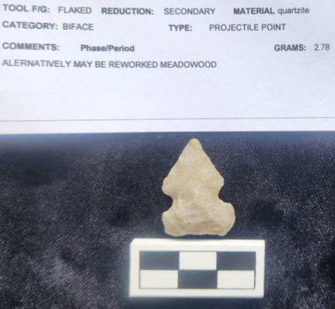 A beige pine tree-shaped quartzite point artifact pictured on a black background below its printed text inventory description which labels it as a projectile point, possibly a reworked Meadowood.