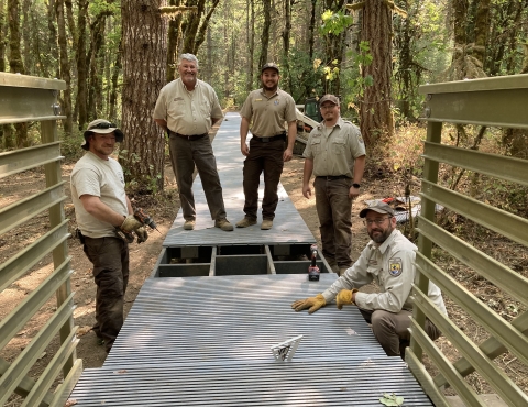 Five workers in USFWS uniform pause from repairing a raised trail through trees.