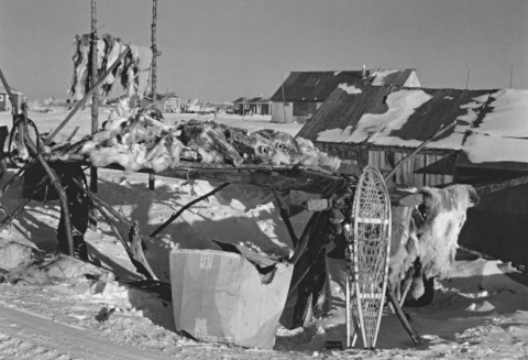A raised platform with caribou pelts and meat, March 1974, in the village of Selawik.