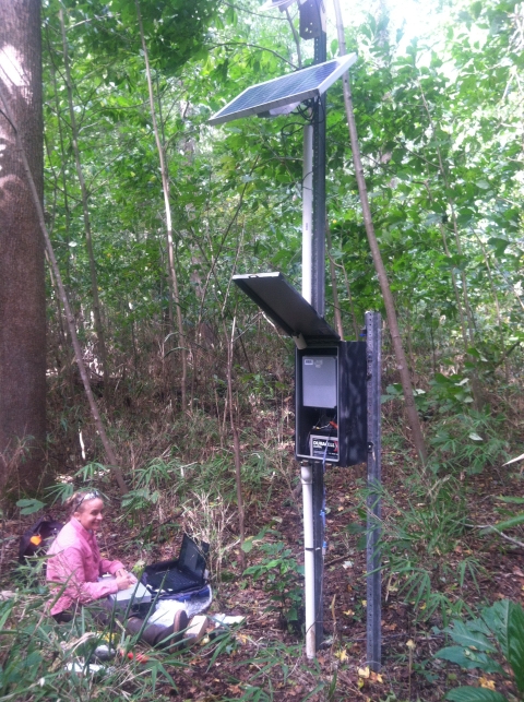 A hydrologist installs a tall monitoring station, with a solar panel at the top, in a forest.