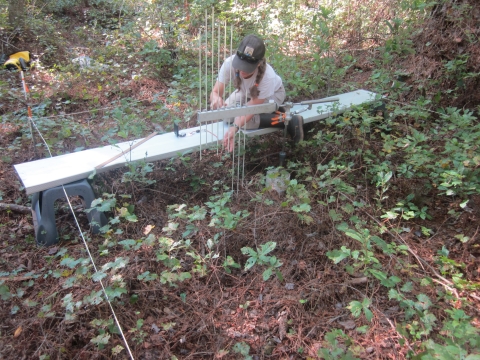 A scientist installs a measurement instrument hovering over peat in the swamp.