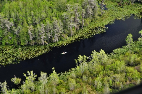 An ariel view of a kayaker on an Okefenokee Swamp NWR trail.
