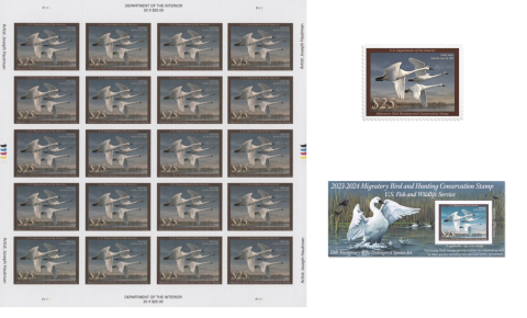 2023 Federal Duck Stamp Pane of 20, Single stamp, Dollar bill size (Pane of 1)