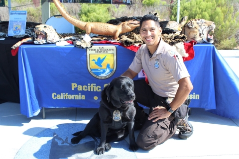 Law Enforcement Officer with black dog in front of a table presentation with confiscated wildlife on display.