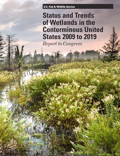 2019 Status and Trends of Wetlands Report Cover 