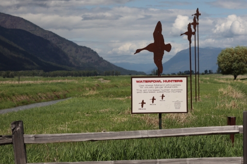 Sign using duck silhouettes to show the size of waterfowl at a distance