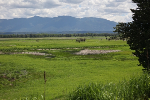 A scenic view of a wetland