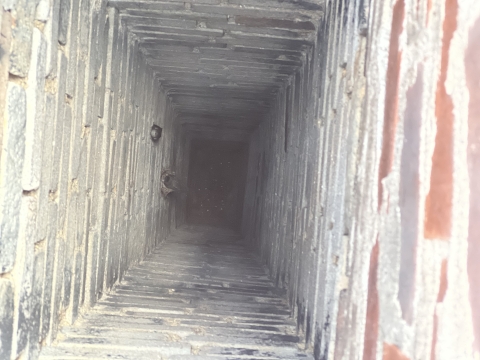 looking down inside a chimney to see a chimney swift nest