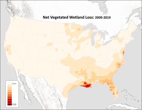 Net Vegetated Wetland Loss Heatmap