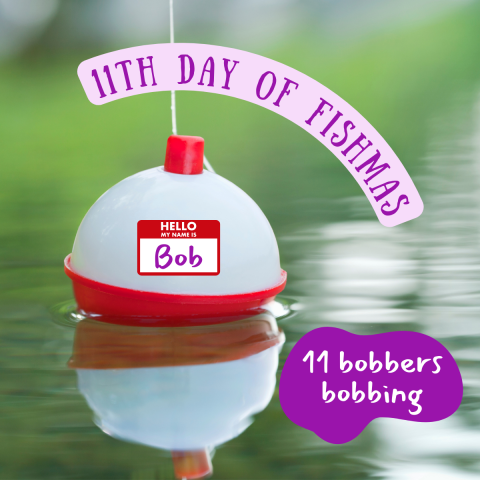 A red and white circular bobber floats on the surface of water. Graphic elements include a name tag on the bobber that says "Hello my name is Bob." Text on image reads "11th Day of Fishmas, 11 bobbers bobbing."
