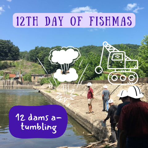 A large concrete dam extends across a body of water with people walking on it. Graphic elements include a wrecking ball, explosion cloud, and hard hats. Text on image reads "12th Day of Fishmas, 12 dams a-tumbling."