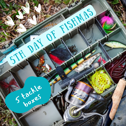 A close shot of an open tackle box filled with fishing lures, hooks, and the spin caster from a pole. Graphic elements of hearts are placed above the box. Text on image reads "5th Day of Fishmas, 5 tackle boxes."