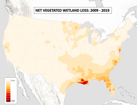 Net Vegetated Wetland Loss Heatmap