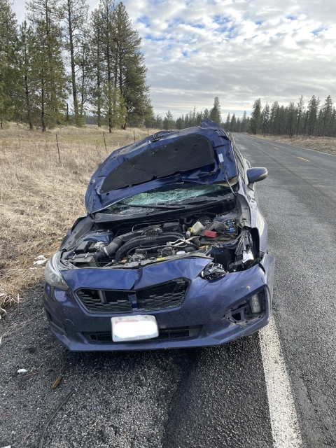 A blue sedan with a damaged front end as the result of a collision with a deer.