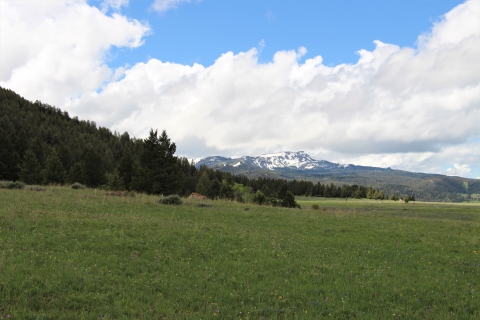 A green valley floor with a snowy mountain in the background with blue skies and white clouds.