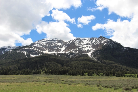 A green valley floor with green treed mountains in the background with blue skies and white clouds.
