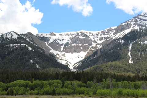 A green valley floor with a snowy mountain in the background with blue skies and white clouds.