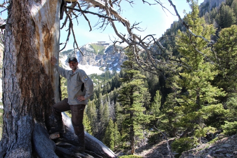 A man stands next to a giant dead pine tree with mountains in the background.