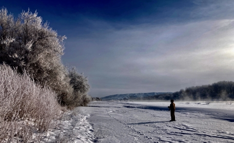 USFWS employee identifying birds during Christmas Bird Count at Ouray NWR