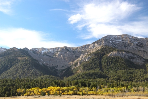 A combination of yellow aspen leaves, mountains, wispy white clouds and blue skies is shown.