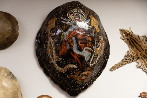 Painted sea tortoise shell on a wall with other wildlife.