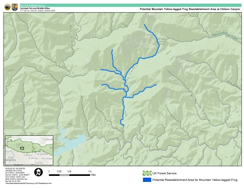 graphic map of green mountains with blue stream running through
