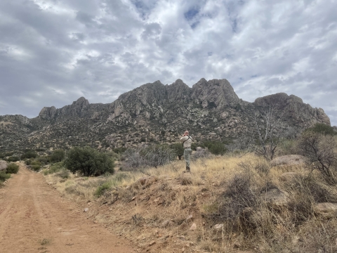 Conducting a survey in the Organ Mountains on Fort Bliss
