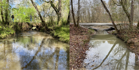 Left: An upstream view of an inadequate culvert. Right: An image from the same angle of a bridge replacing the culvert