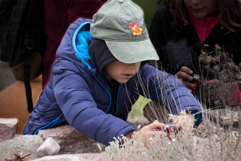 A child with a purple jacket and green hat holds a digital camera against plants in the desert. 