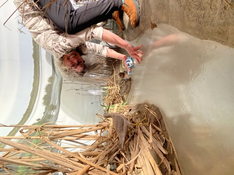 a person bent over and smiling as she uses a rag to dust a simulated wetland pond