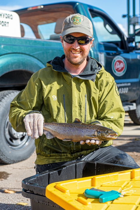A man in a Vermont Fish and Wildlife uniform holds an Atlantic salmon