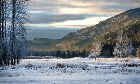Snow-covered field at the base of wooded mountains. 