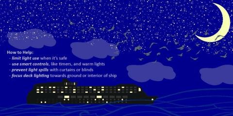 Graphic with stars, moon and birds flying in a night sky above clouds and waves with an offshore vessel on the water that has dimmed lights. Text reads: How to Help, limit light use when its safe, use smart controls like timers and warm lights, prevent light spills with curtains or blinds, and focus deck lighting towards ground or interior of ship