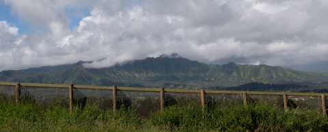 Kilauea Point National Wildlife Refuge predator exclusion fence at forefront with mountain background
