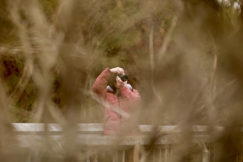 A woman looks through a camera