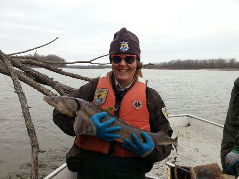 A biologist on a boat holds a medium-sized lake sturgeon