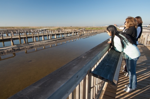 Three or four people look over the edge of a viewing platform in San Francisco Bay.