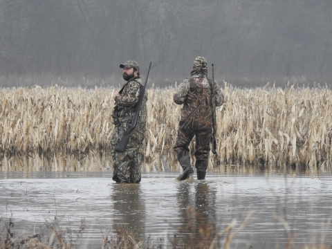 Two hunters in camo walking through ankle deep water. 