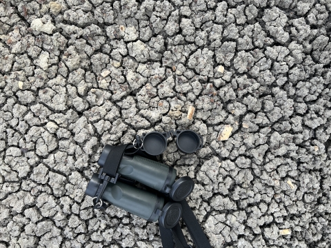 A pair of binoculars provides scale for small fossil fragments on rocky ground.