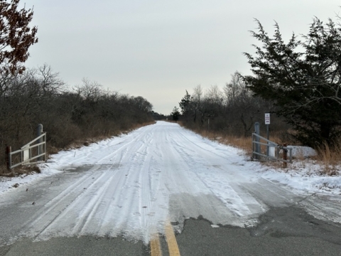 photo of lower road at Parker River National Wildlife Refuge with ice sheet covering it