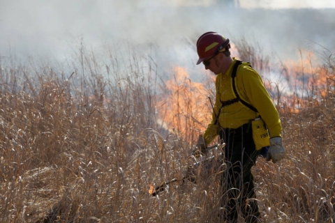 person wearing yellow shirt and red hard hat carrying a drip torch and fire in the background